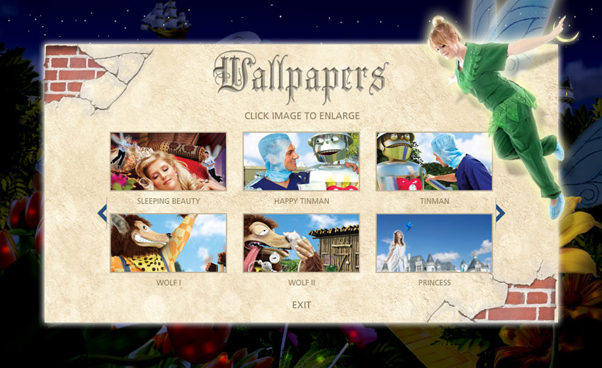 Design for Flash animated website