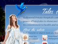 Design for Flash animated website