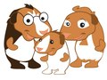Guinea Pigs
