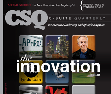 CSQ Winter 2010/11 Issue Cover