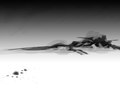 value study 17