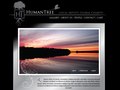 Website layout