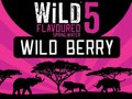 Wild 5 Water | Natural Spring Water | Identity and Packaging Labels | 500ml water bottles | Sold through local FMCG stores