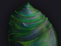 Personal Branding - Concept Painting