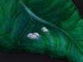 Personal Branding - Concept Painting