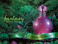Faceboook Post for Britney Spears Fragrance