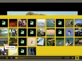 Animal Planet - Videos