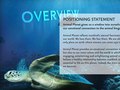 Animal Planet - Overview