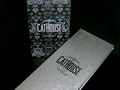 CATHOUSE: Luxor Hotel & Casino (2008 Bronze ADDY Award)