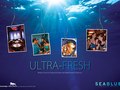 SEA BLUE: Duratrans