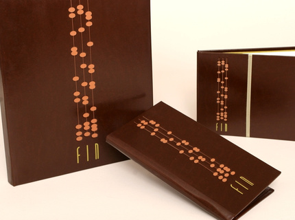 FIN: Mirage Hotel & Casino, (2006 Silver ADDY Award)