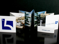 L5: Promotional