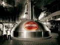 Carlton Draught