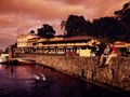 Tasmanian Tourism
