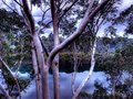 Lane Cove River