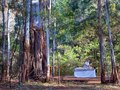 Erimrates' Wolgan Valley Resort & Spa