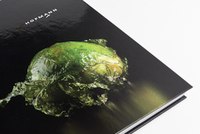Hofmann book - Vol. 2