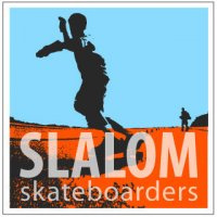 Icon slalom logo for Facebook Group
