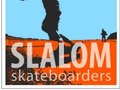 Icon slalom logo for Facebook Group