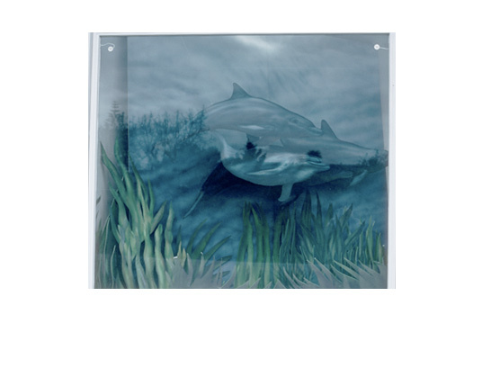 3D airbrushed Window Display Santa Cruz Surf Shop