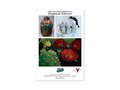 Stephanie Schriver Open Studios Postcard