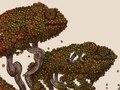 Autumn Chameleons