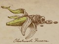 Clockwork Fruit