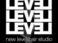 New Level Hair Studio: Logo for an upscale unisex hair salon.
