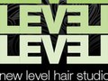 New Level Hair Studio: Logo for an upscale unisex hair salon.