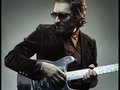 Vincent Gallo