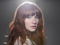 Bryce Dallas Howard