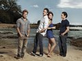 Cast of Hawaii Five-0 (Scott Caan, Alex O'Loughlin, Grace Park, Daniel Dae Kim)
