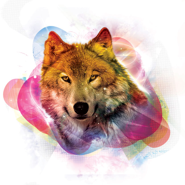 Distorted Wolf