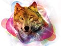 Distorted Wolf