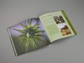 Clackmannanshire and the Ochil Hills - Brochure Spread