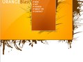 someCompany Design