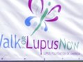 2011 West Hartford Walk For Lupus - © One Take Productions