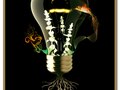 Growing Idea