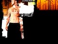 Alpha Dog