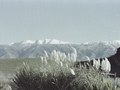 Digiscapes / Dju-Lian Chng