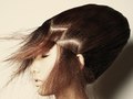 Evolve Salon 2011 Styles