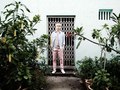 Sifr lookbook 2010