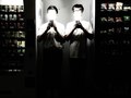 Oat & Sparkle 2009 / Jovian x Dju-Lian