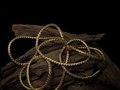 Tsura: Vertebrae Collection