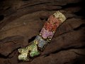 Tsura: Vertebrae Collection