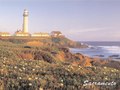 Stop the Cycle Campaign - Postcard 2