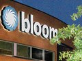 Bloom Brand Identity