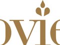 Novielle Brand Identity / Tagline