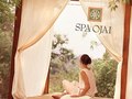 Spa Ojai Brand Identity