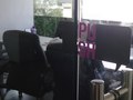 Office Graphics